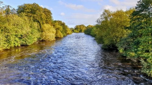 River Ure from Tanfield Bridge