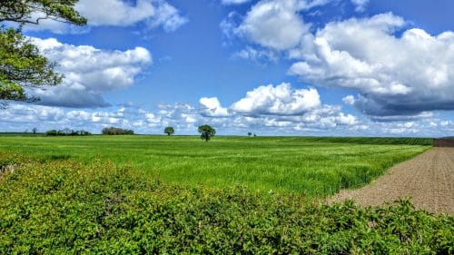 Big skies and green fields, Morton-on-Swale