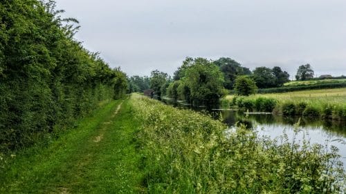 Easy walking along the Ripon Canal