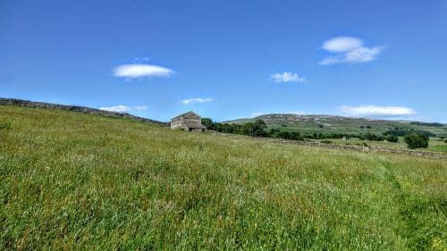 Hay meadows on approach to Askrigg