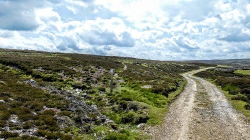 Path through the heather, Whitaside Moor
