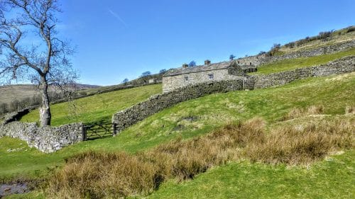 Field barn and walls, Swaledale